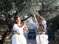 Akhisar'da Dünya Zeytin Günü buluşması