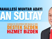 Paşa Mahallesi Muhtar Adayı Okan Soltay