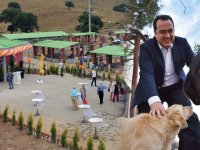 Dutlulu'dan sokak hayvanlarına yaşam merkezi projesi