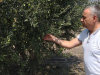 Milletvekili Bakırlıoğlu, “Organik tarım ve iyi tarım desteği kalkıyor mu?”