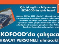 Ekofood'da çalışacak ihracat personeli aranıyor