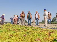 İlçe Tarım Müdürlüğü’nden üzüm hasadı yapan çiftçilere ziyaret