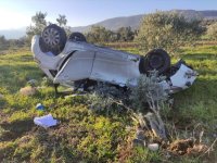 Kontrolden çıkan otomobil zeytin bahçesine devrildi: 2 yaralı