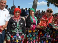 Börezliler kiraz şenliği yaptı