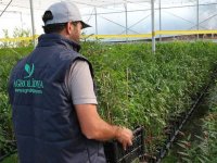 Akhisar’ın Markası Agrolidya, tarım sektöründe yükselişini sürdürüyor