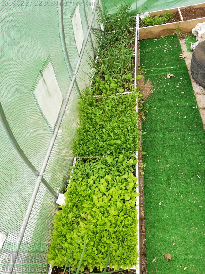 okulda-sera-greenhouse-at-school-(7).jpg