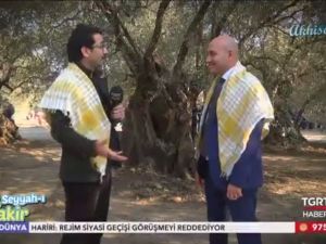 TGRT Haber - Raşit Ağzıkara sunduğu Seyyah-ı Fakir Programı Sakarkaya Köyü ve Akhisar Zeytin tanıtım programı