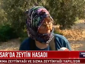 HaberTürk TV, Akhisar Zeytin Hasadı 3 Ekim 2019 tarihli Canlı Yayın