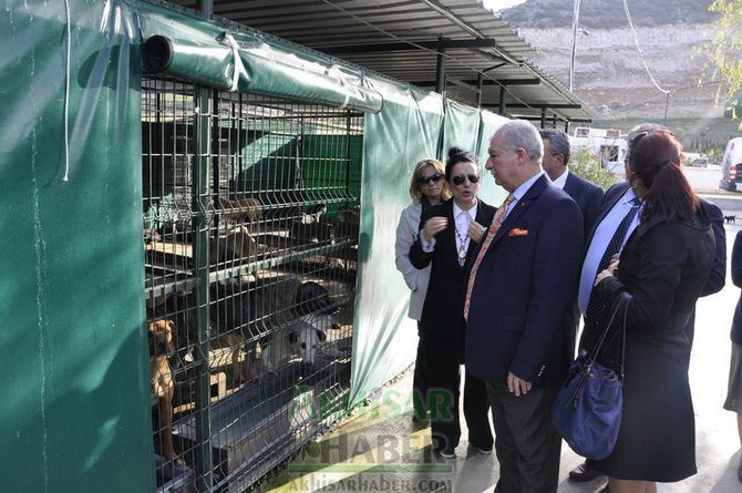 MHP Adayı Onay’dan Hayvanseverler Derneği ve Hayvan Barınağı’na Ziyaret